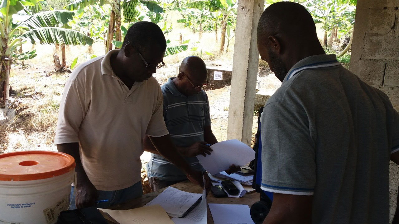 DOM-GAP Farm Audit conducted on Ross George's Farm